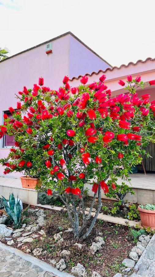 I Giardini Dell'Agave Apartman Torre Santa Sabina Kültér fotó