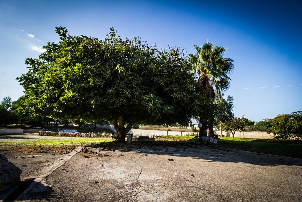 I Giardini Dell'Agave Apartman Torre Santa Sabina Kültér fotó