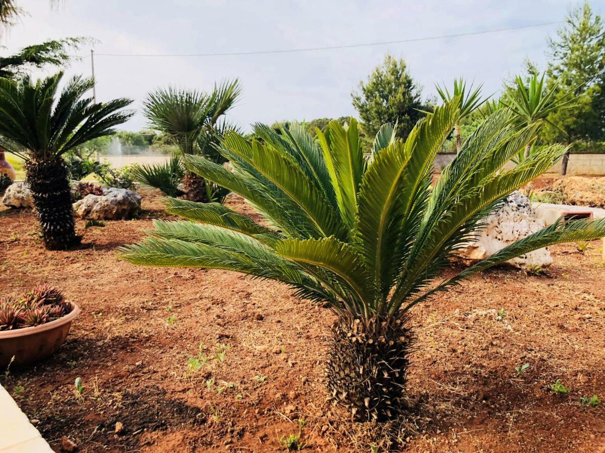 I Giardini Dell'Agave Apartman Torre Santa Sabina Kültér fotó
