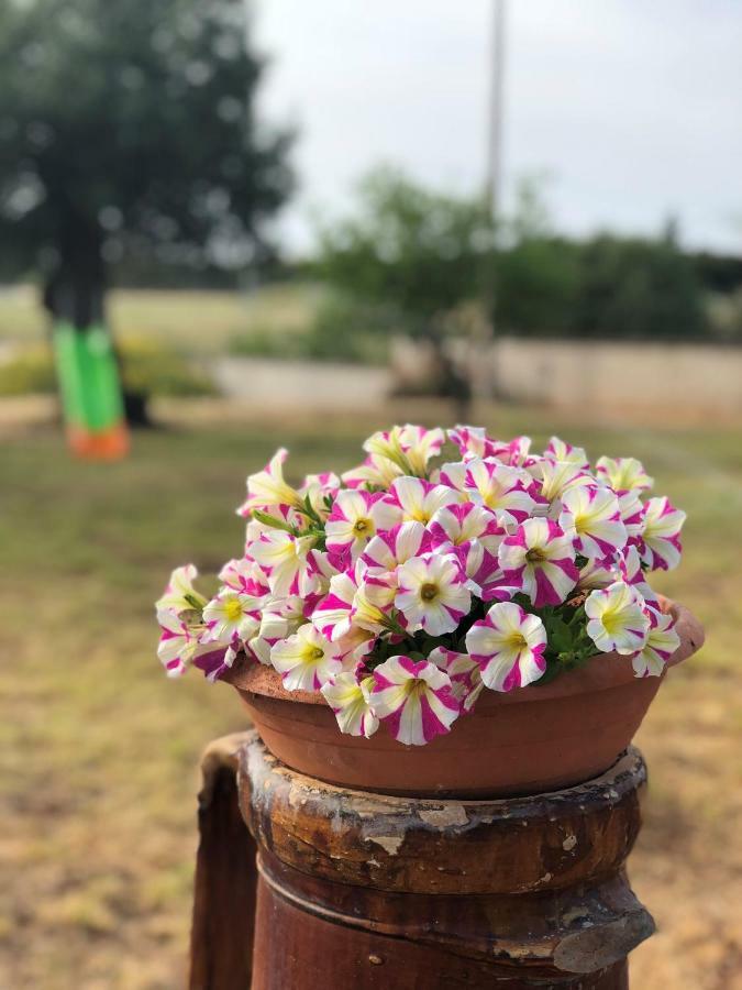 I Giardini Dell'Agave Apartman Torre Santa Sabina Kültér fotó